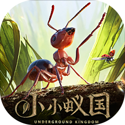 小小蚁国极速发育版