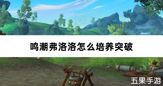 鸣潮弗洛洛怎么培养突破 突破材料需要哪些