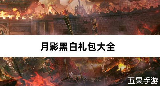 月影黑白无限分身超超爽新手礼包大全