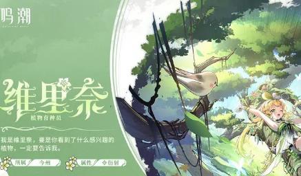 鸣潮维里奈声骸怎么选择 声骸搭配推荐